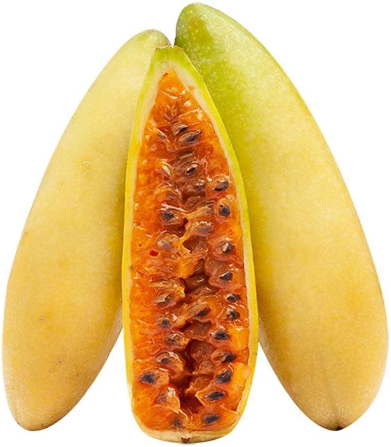Banana passion fruit Passiflora tripartita seeds for garden trellis